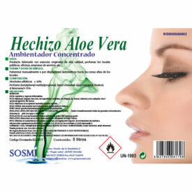 AMBIENTADOR HECHIZO ALOE VERA