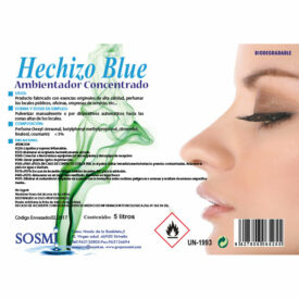 AMBIENTADOR HECHIZO BLUE