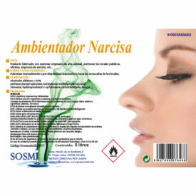 AMBIENTADOR NARCISA