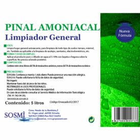 PINAL AMONIACAL 5L